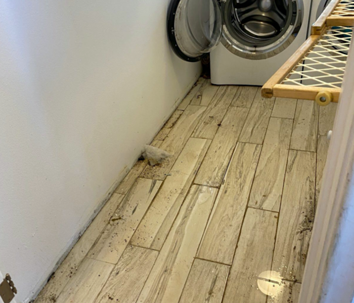 Laundry room with wood floorboards