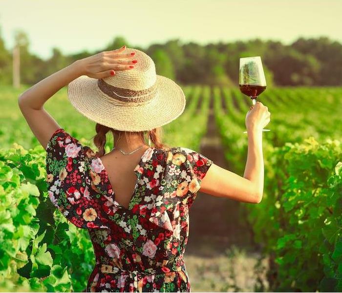 Woman holding a wine glass in vineyars