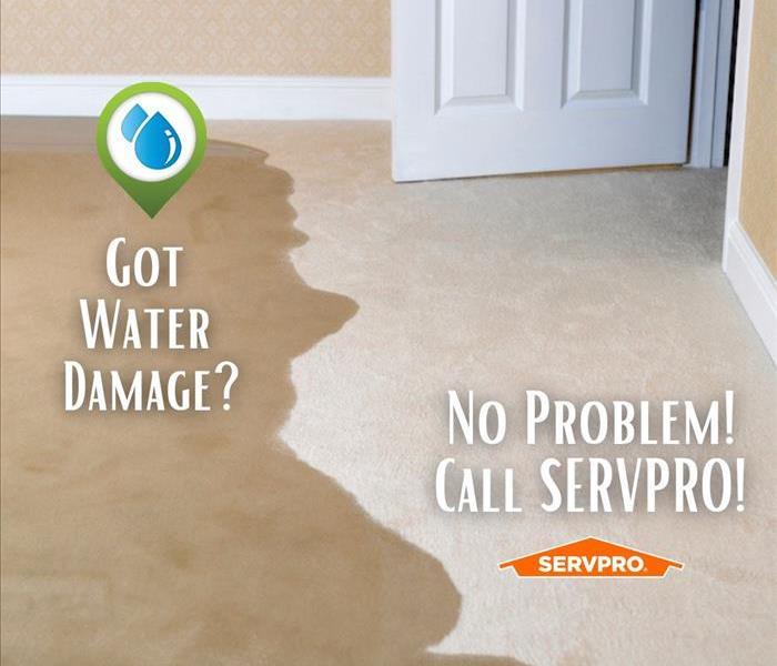 SERVPRO of Palmdale North will take care of you